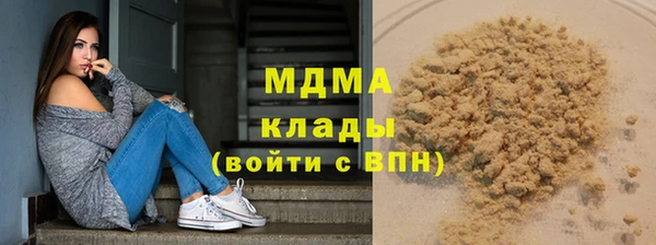 шишки Белокуриха