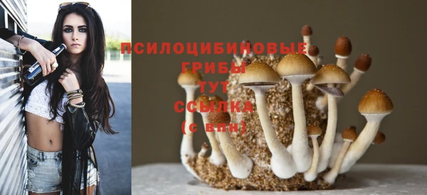 шишки Белокуриха