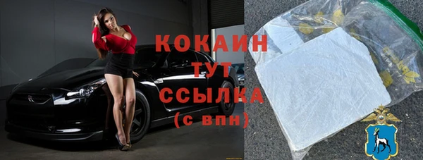 шишки Белокуриха