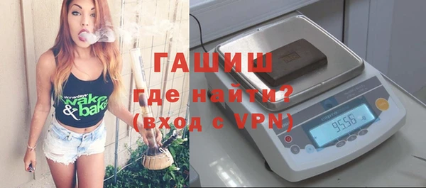 шишки Белокуриха