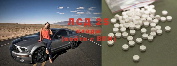 шишки Белокуриха