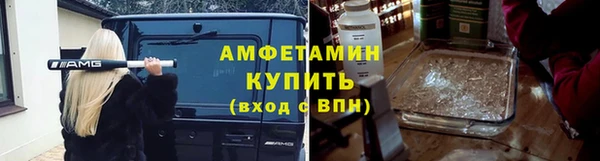 шишки Белокуриха