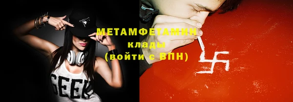 шишки Белокуриха