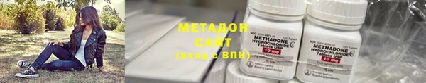 шишки Белокуриха