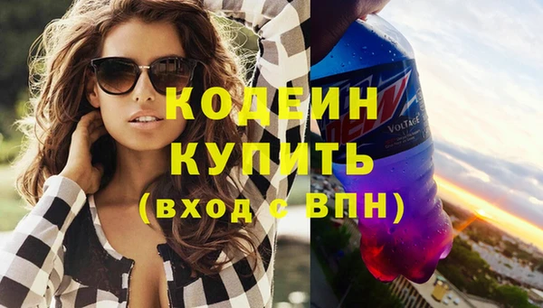 шишки Белокуриха