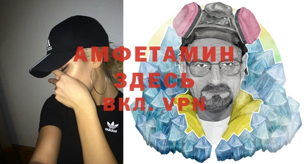 шишки Белокуриха