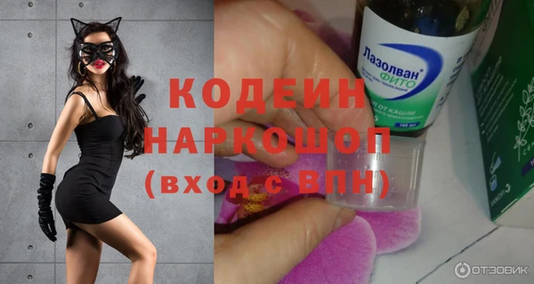 шишки Белокуриха